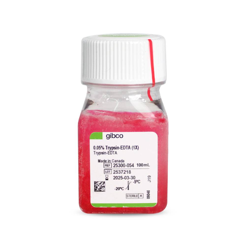 胰酶细胞消化液（0.05%胰酶，含EDTA，含酚红）
