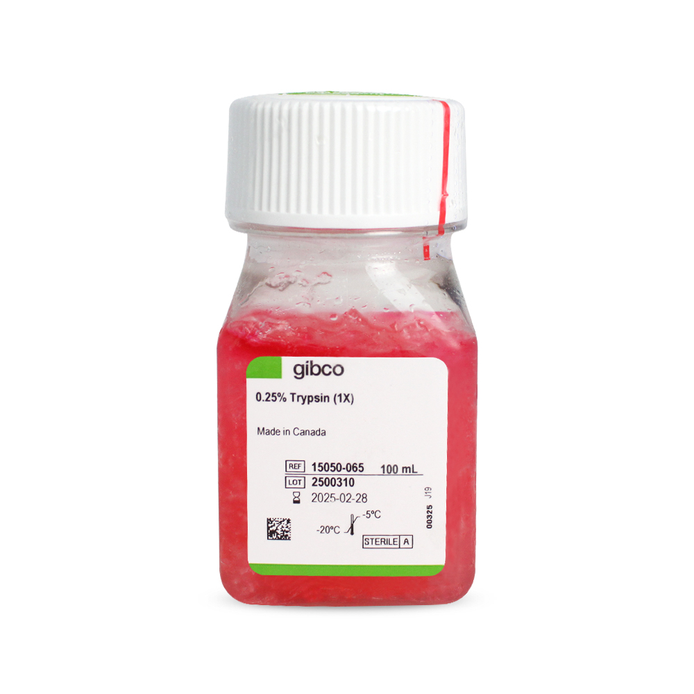胰酶细胞消化液（0.25%胰酶，不含EDTA，含酚红）